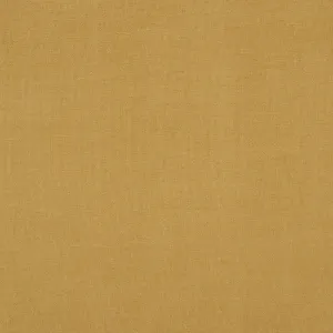 Burlington Fabric in Green