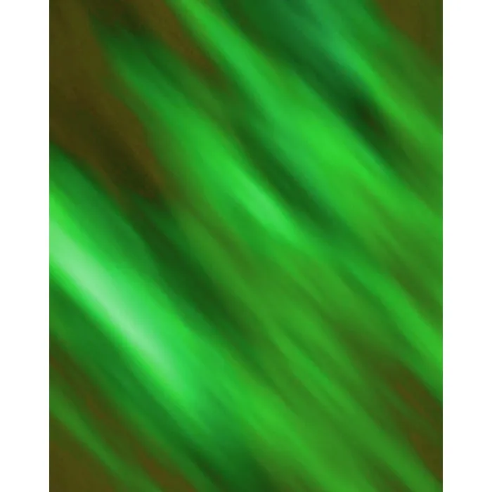 Lime Green Old Masters Printed Backdrop